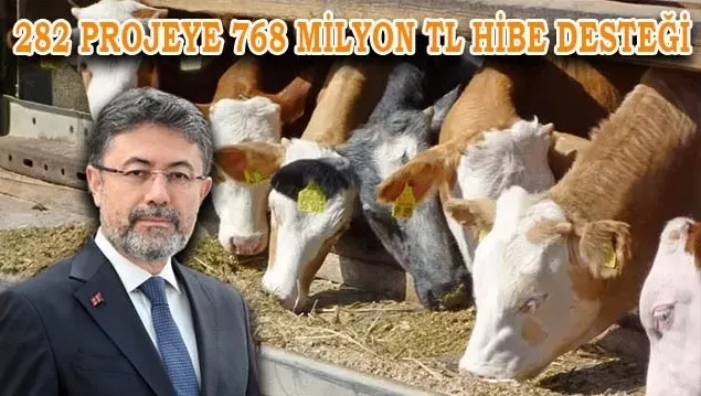 Bakan Yumaklı duyurdu! 282 projeye 768 milyon TL hibe desteği