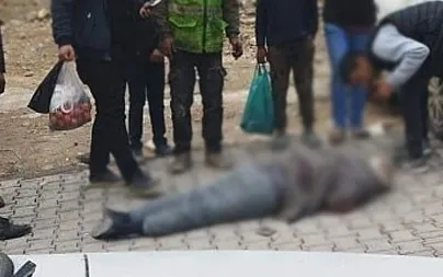 Şanlıurfa