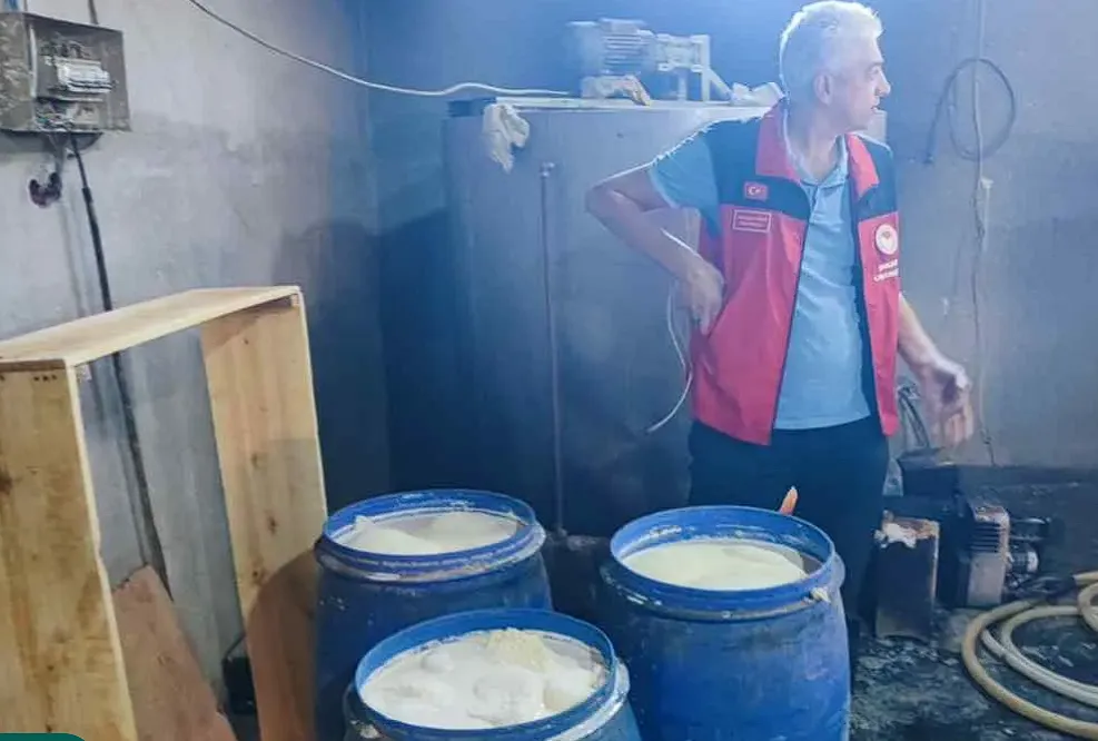 Şanlıurfa’da sağlıksız ortamda süt üretimine ceza!
