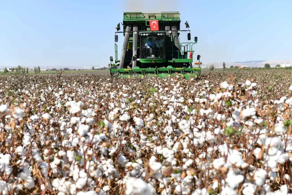 Şanlıurfa pamuğu için Vali Şıldak