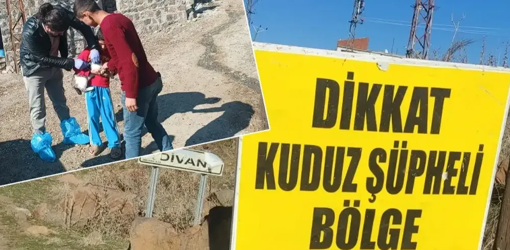 Şanlıurfa’da kuduz alarmı!