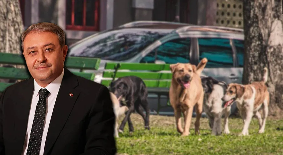 Vali Şıldak’tan 10 Belediyeye sert uyarı! Tarih verildi