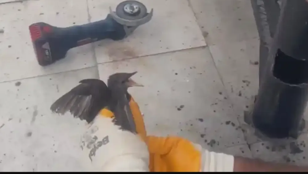 Şanlıurfa’da yangın merdiveninde nefes kesen kurtarma