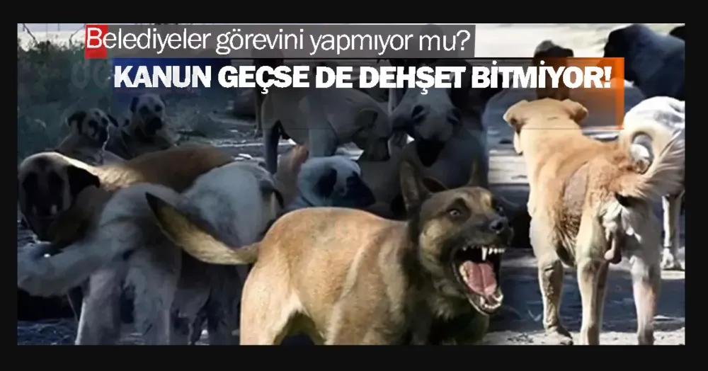 Viranşehir