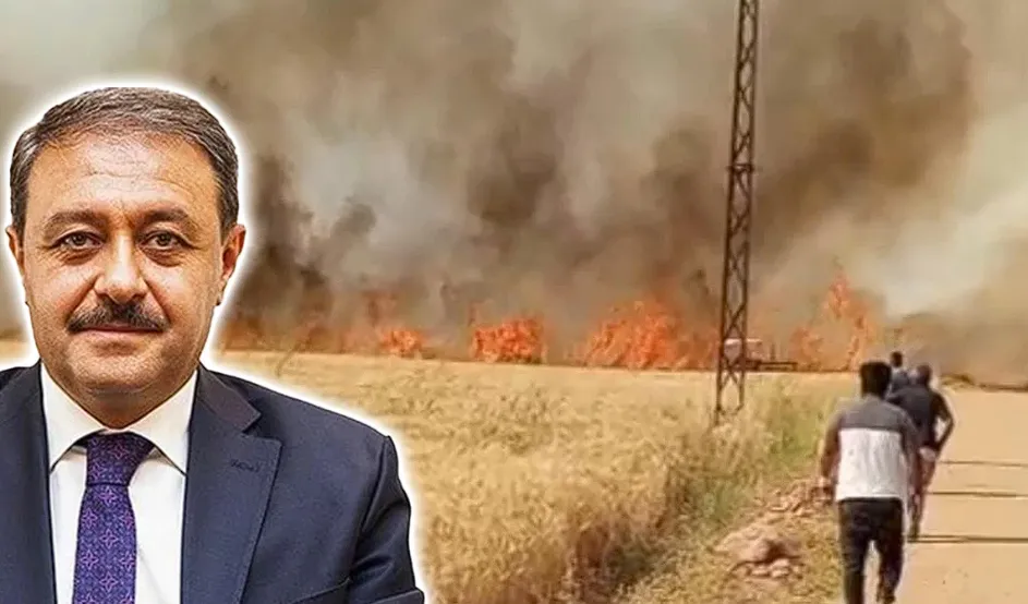 Bozova, Birecik ve Harran’da yangınlar! Vali Şıldak’tan vatandaşlara uyarı