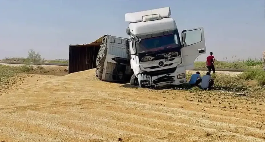 Şanlıurfa’da buğday yüklü tır devrildi!