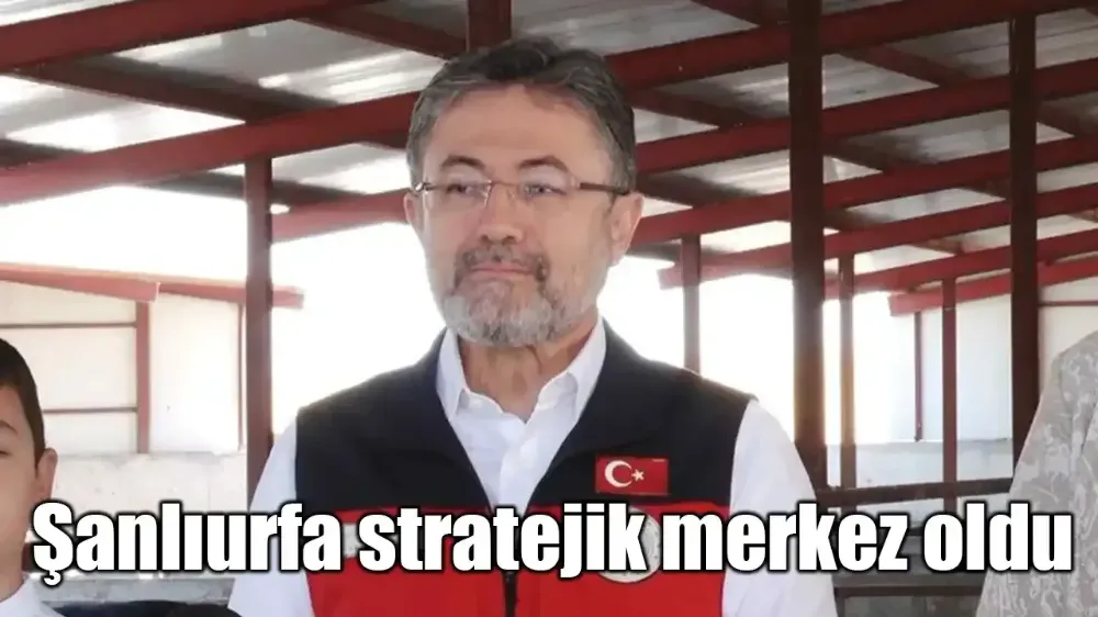 2026’dan itibaren yılda 200 bin baş hayvan yerli üreticiden karşılanacak