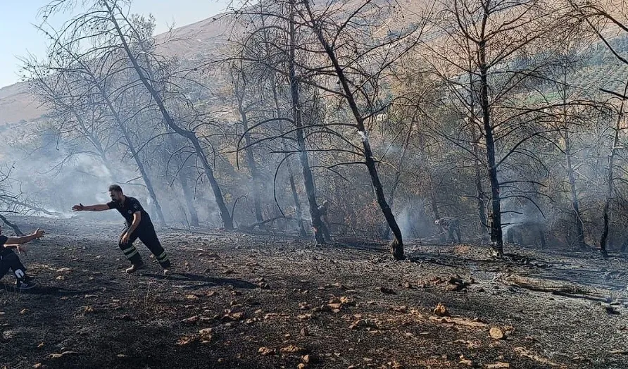 Şanlıurfa Eyyübiye’de ağaçlık alanda çıkan yangın kontrol altına alındı