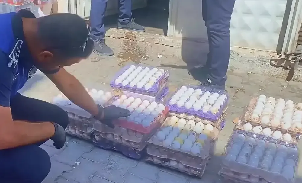 Şanlıurfa’da son kullanma tarihi geçmiş 170 koli yumurta ele geçirildi