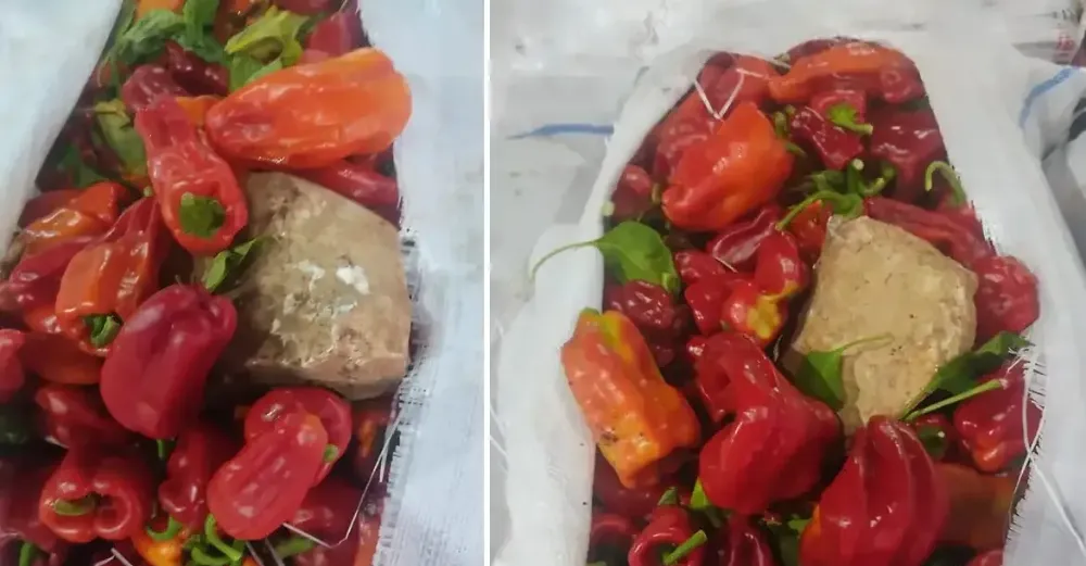 Şanlıurfa’da seyyar satıcıdan aldığı biber şoka uğrattı