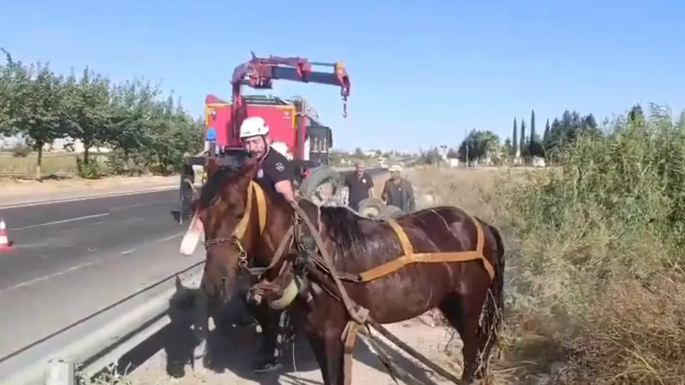 Şanlıurfa’da tahliye kanalına düşen at, itfaiye ekiplerince kurtarıldı