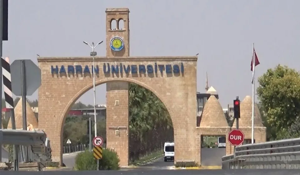 Harran Üniversitesi Osmanbey Yerleşkesindeki başıboş köpekler öğrencileri tedirğin ediyor