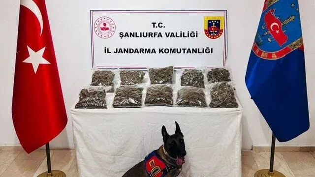 Şanlıurfa’da uyuşturucu operasyonu!