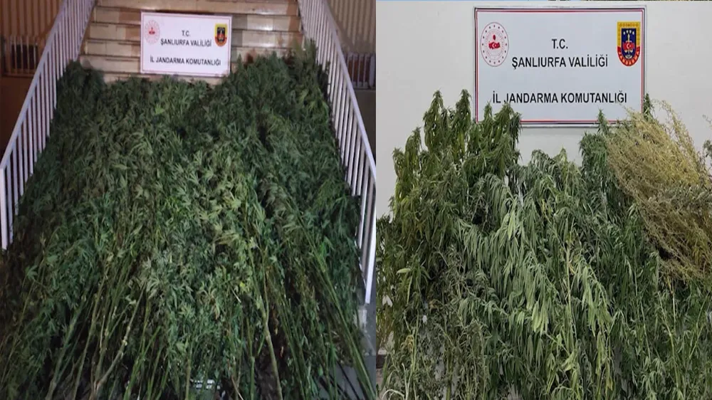 Şanlıurfa’da nefes kesen baskın! 